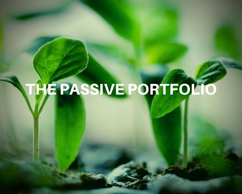 The Passive Portfolio: My 20+ Year Index ETF Investment